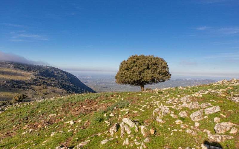 Parque Natural de las Sierras Subbéticas