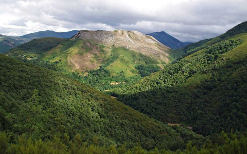 Parque Natural del Narcea, Degaña e Ibias