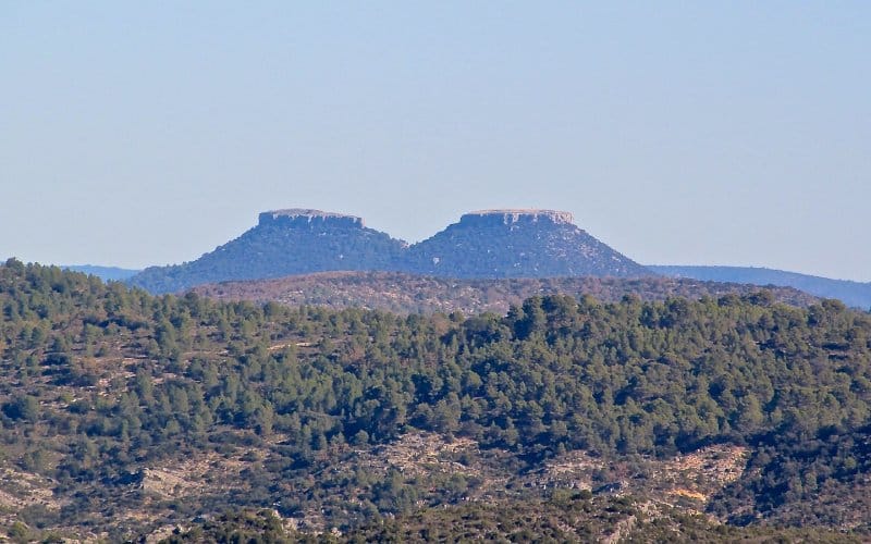 Tetas de Viana, tetas de España