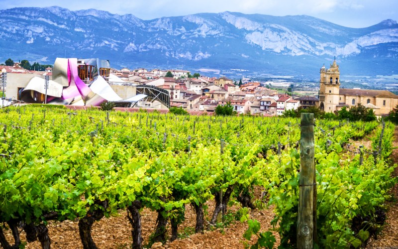 Paisaje desde Marqués de Riscal en ElCiego