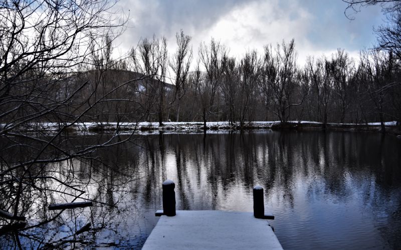 Embarcadero en el bosque del Finlandés