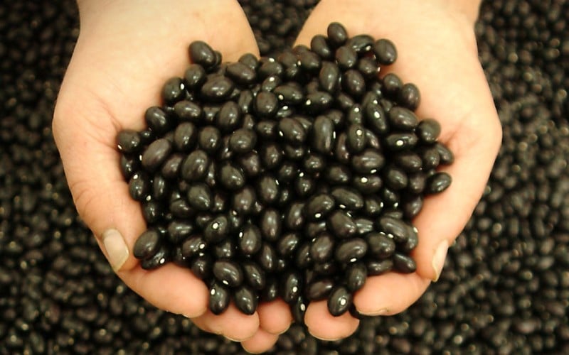 Alubias de Tolosa