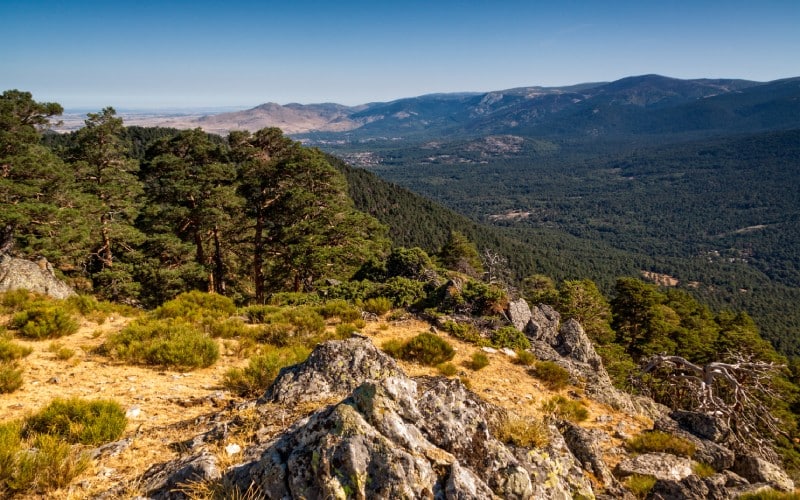 Vista de los montes de Valsaín