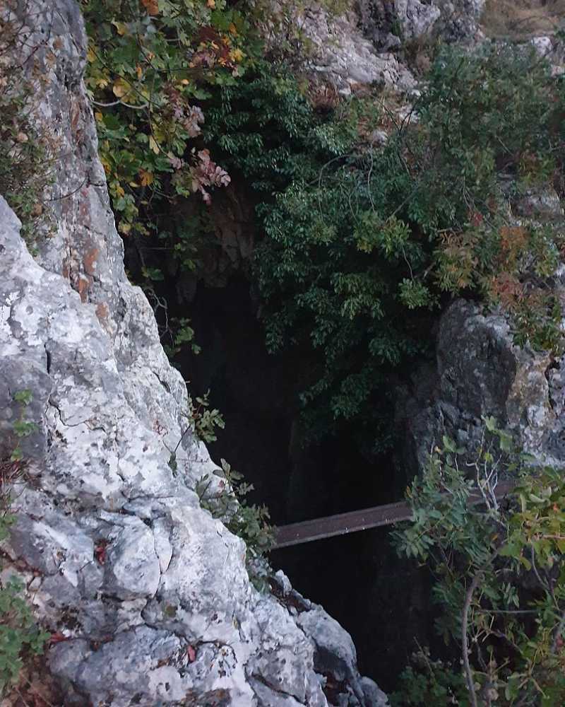 Sima de cabra