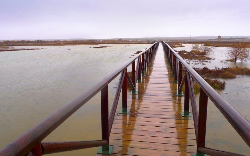 Recorrer los senderos construidos por esta Laguna acerca a conocer mucho mejor a sus habitantes: los flamencos