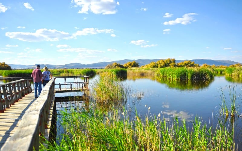Aunque hace tiempo estuvo en peligro, ahora se puede contemplar un paraje único en las Tablas de Daimiel