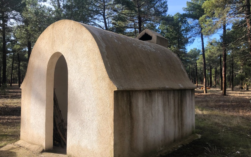 Refugio en el pinar.
