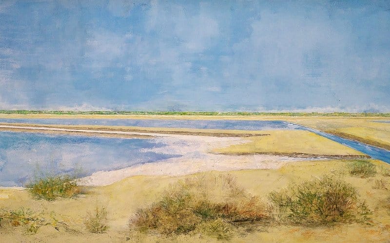Cuadro salinas de Bonanza
