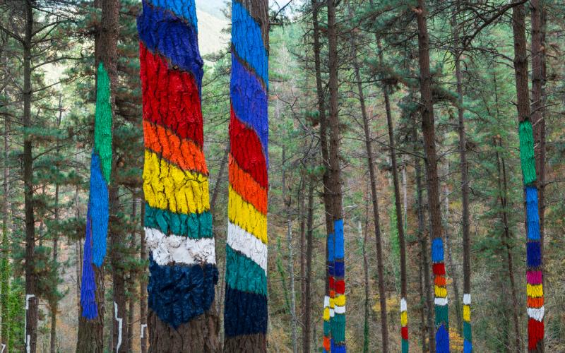Detalle de los troncos pintados en el Bosque de Oma por Agustín Ibarrola