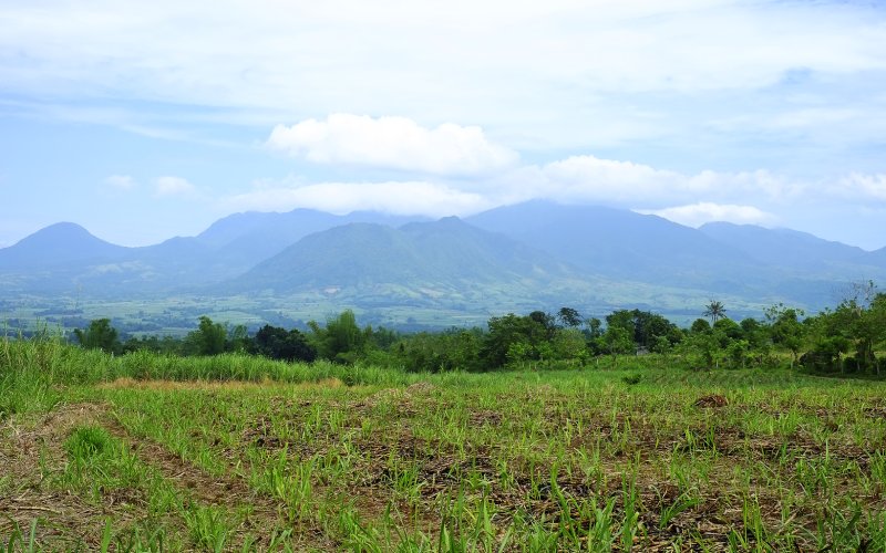 Paisaje en los alrededores de Murcia, Filipinas