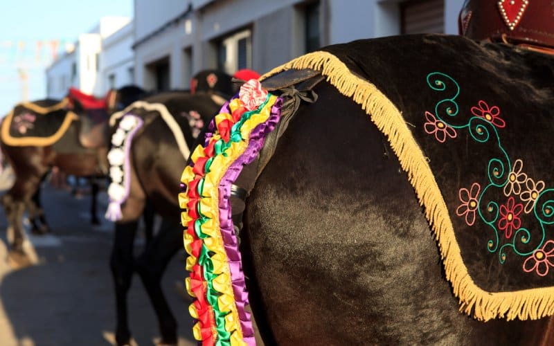 Caballo vestido para fiesta en Sant Climent