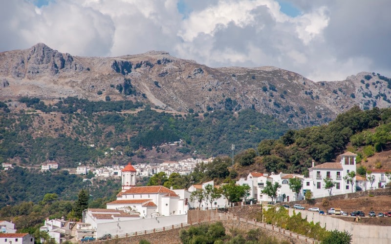 Montañas y bosques rodeando Genalguacil.