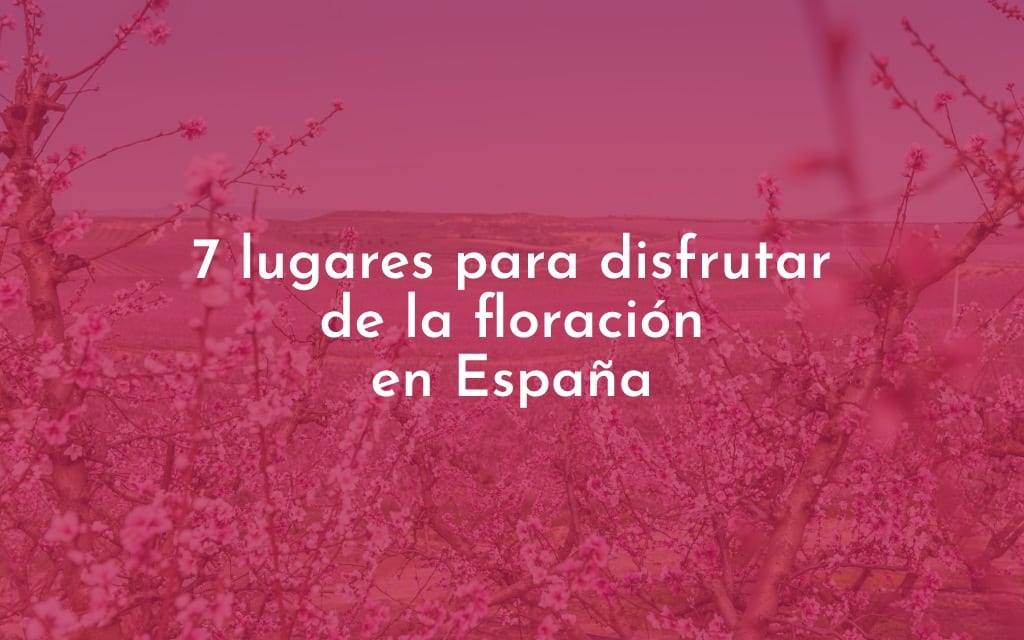 plantilla-portada-galeria (3)