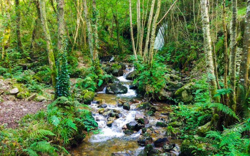 Cascada de Nonaya