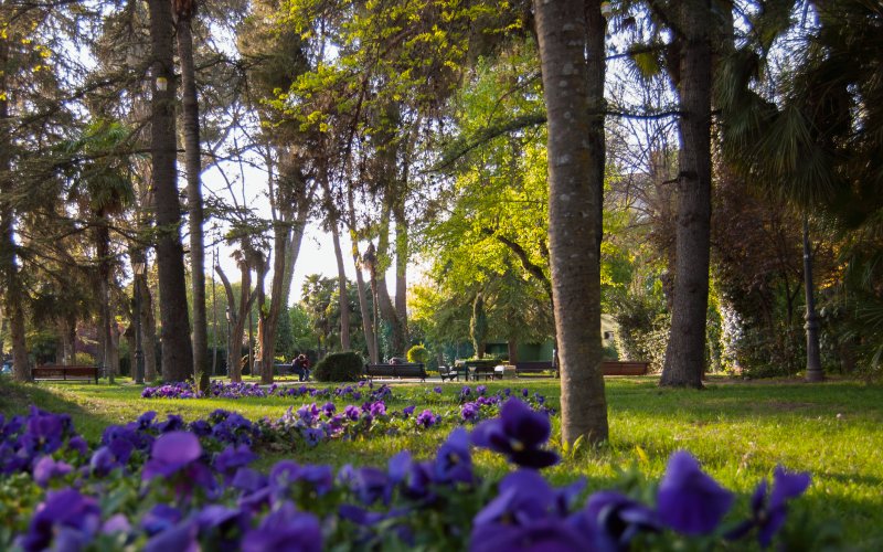 Parque florido en la capital alcarreña