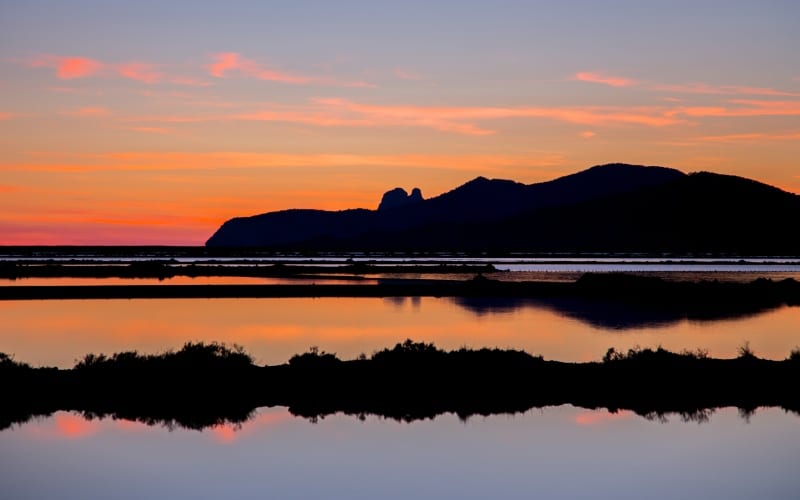 Ses Salines