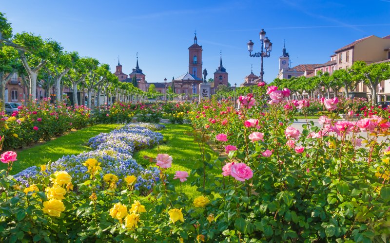 Plaza de Cervantes en Alcalá de Henares