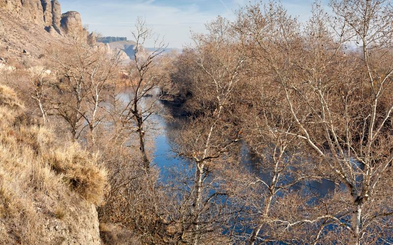 Río Jarama