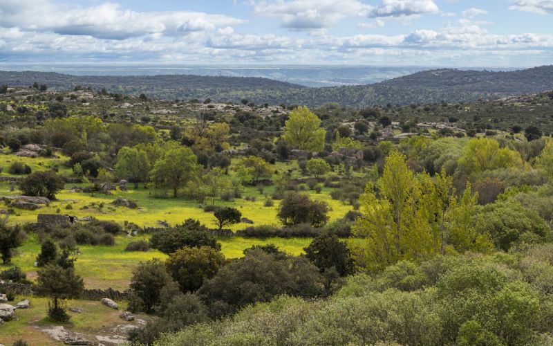 El Berrueco