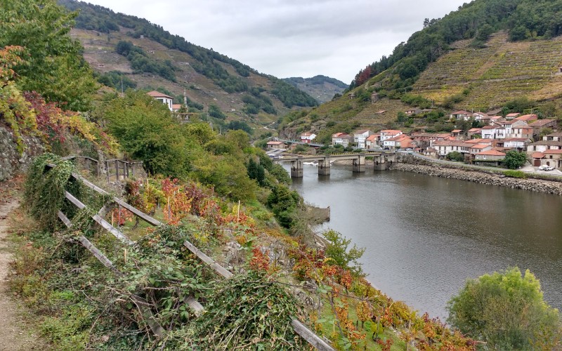 Paisaje en Belesar