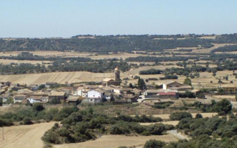 Liesa