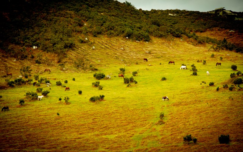 A Serra do Xistral