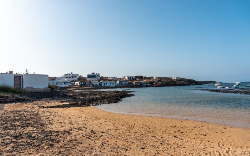 Majanicho
