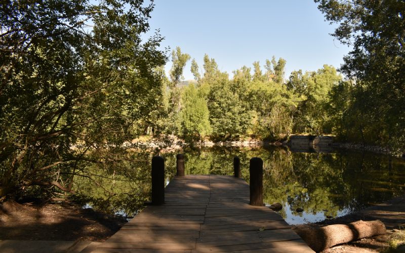Reflejo de los árboles sobre la superficie del agua en el bosque finlandés de Rascafría