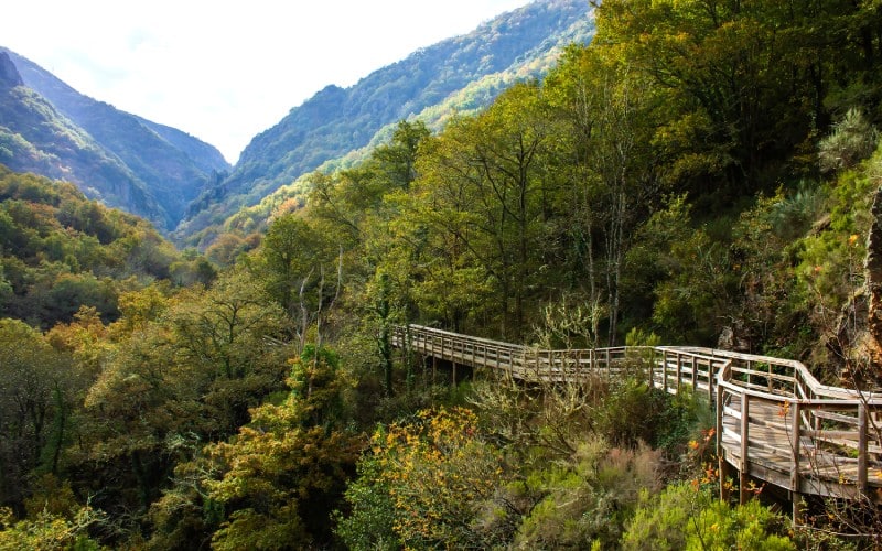 Pasarelas del río Mao