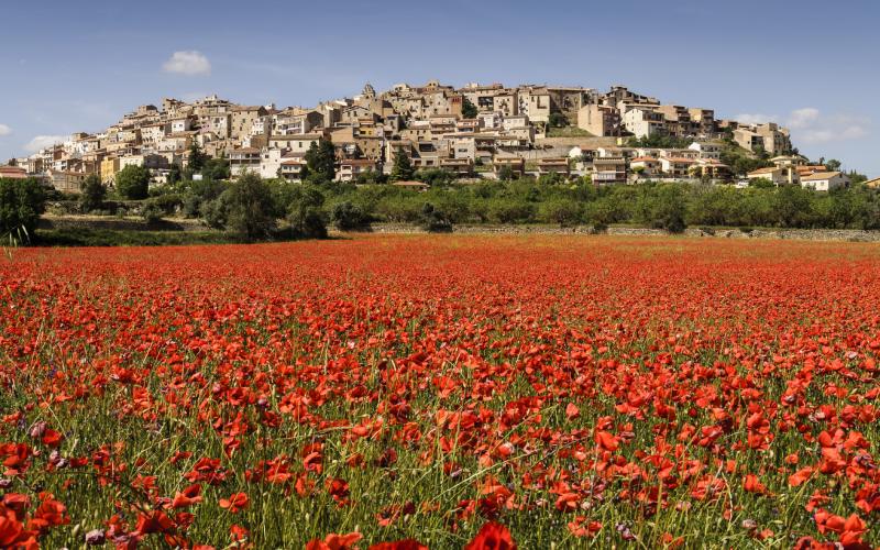 La Horta de Sant Joan tras un prado florido