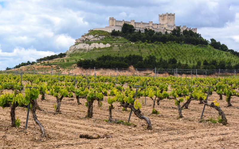 Peñafiel