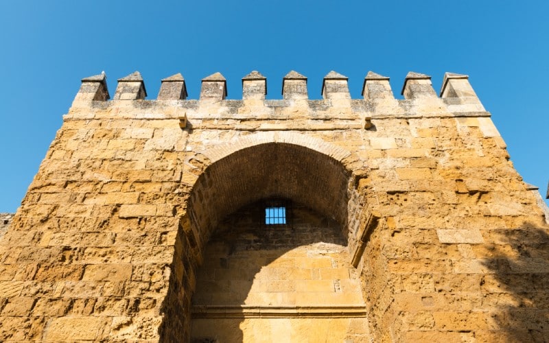 Detalle de la puerta de Almodovar