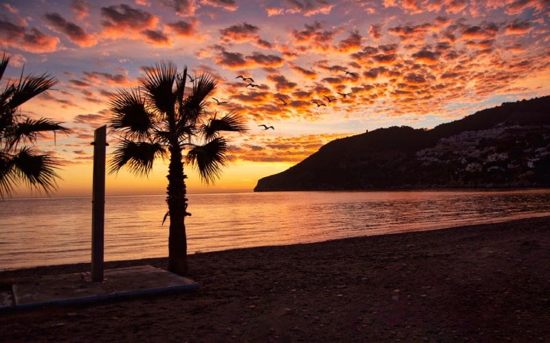La Herradura