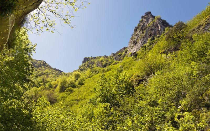 La sierra desde el desfiladero de las Xanas