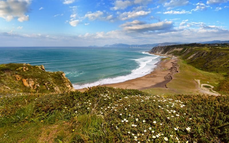 playa rodeada de vegetación en getxo