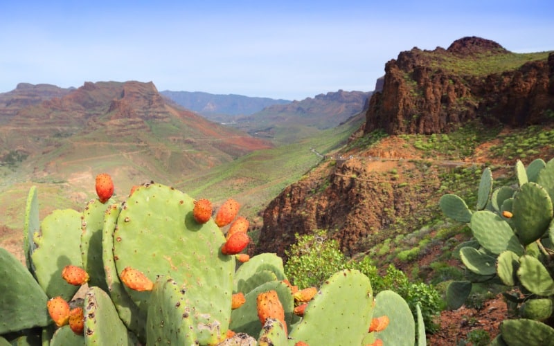 Barranco de Fataga