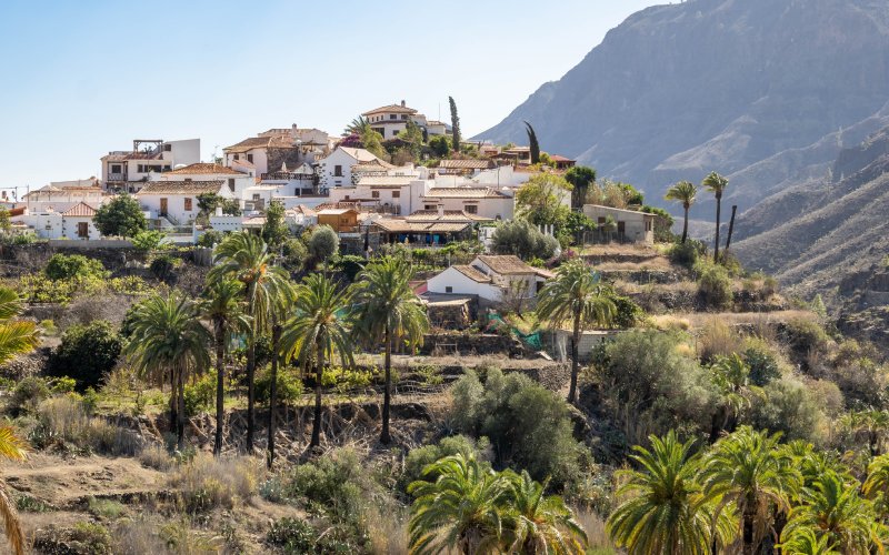 Valle de las mil palmeras