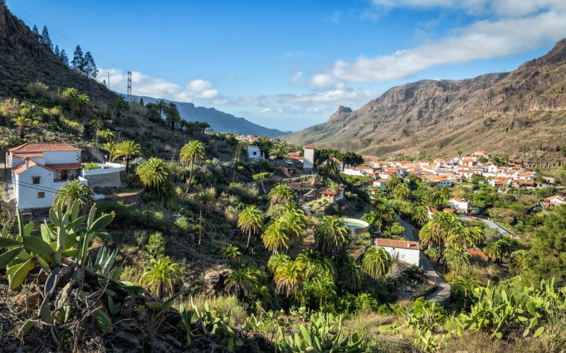 Valle de las mil palmeras