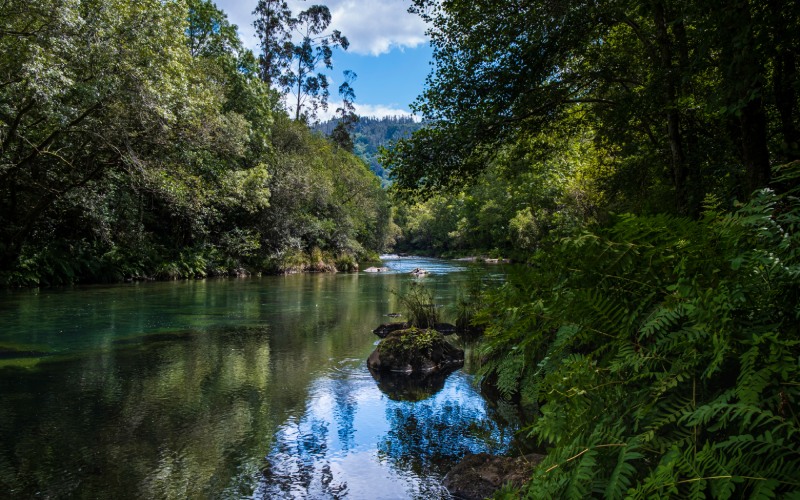 Parque natural Fragas del Eume