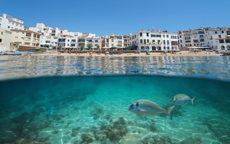 Calella de Palafrugell
