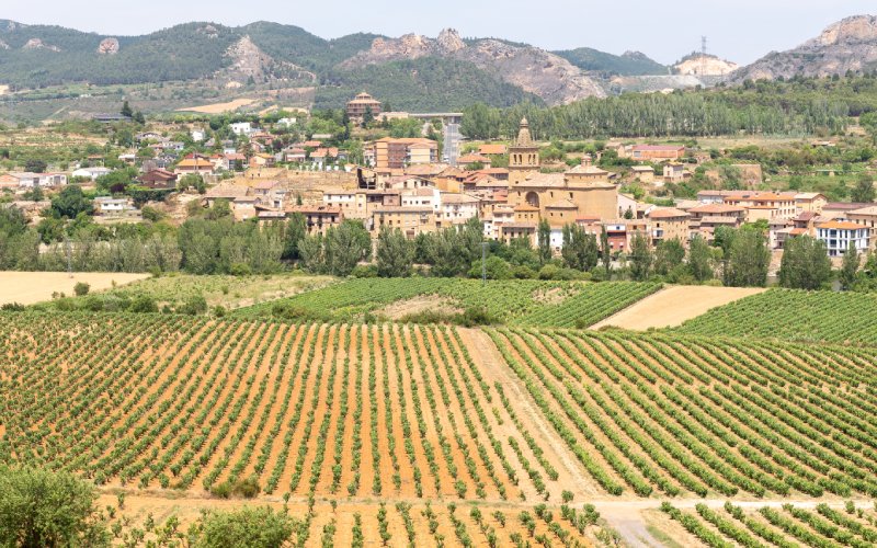 Campos de viñas con un pueblecito de piedra en el fondo