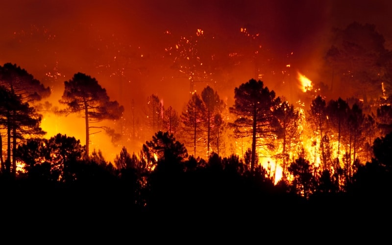 Incendio en Guadalajara