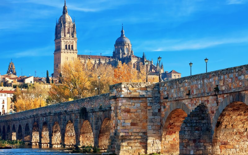 Un puente sobre el río y una catedral de fondo