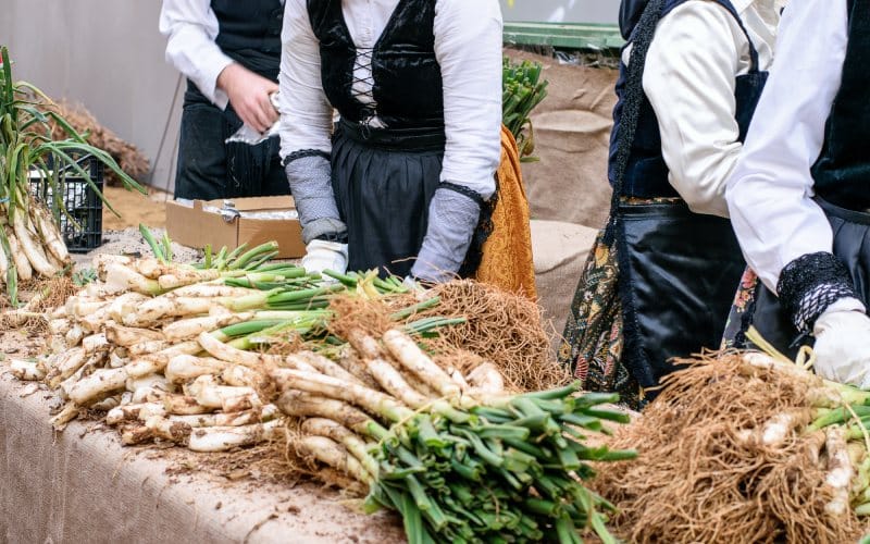 Fiesta de la Calçotada en Valls