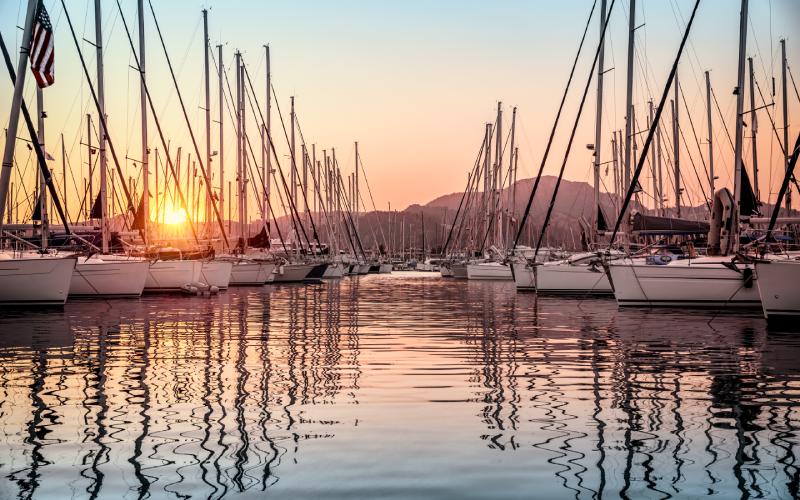 Muelle