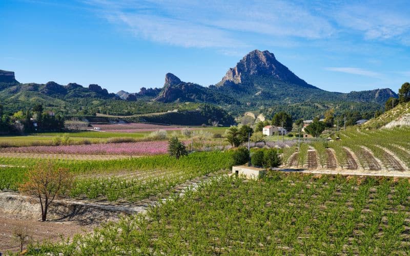 Cieza, Murcia