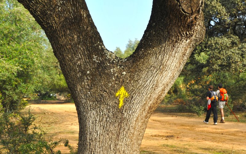 Flechas amarillas, uno de los grandes símbolos del Camino de Santiago