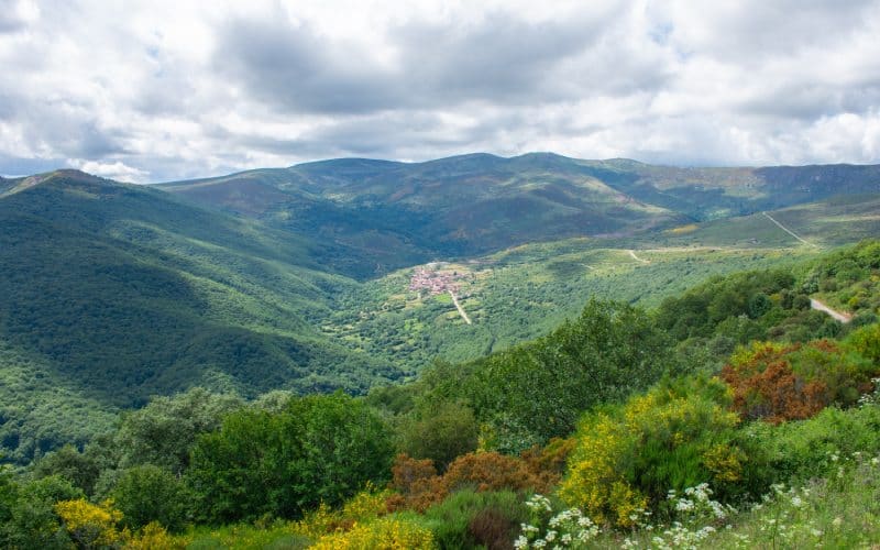 Brañosera