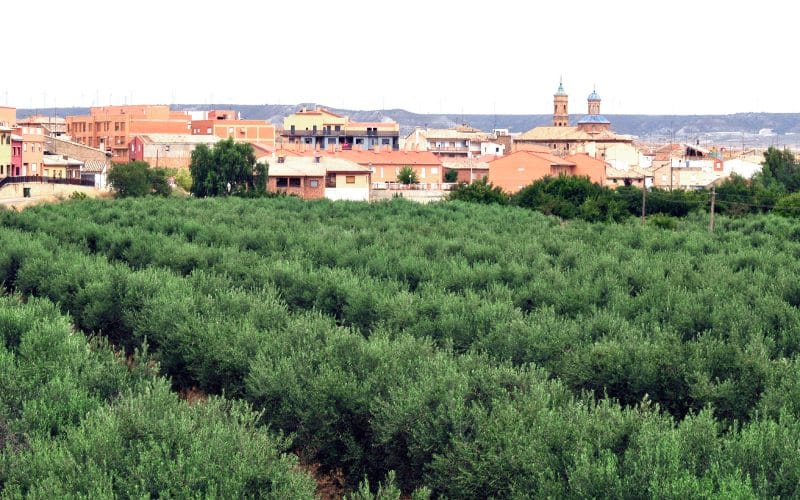 Muel, Zaragoza