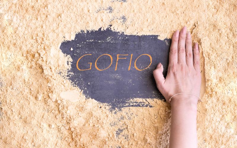 gofio